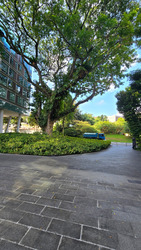 One-north Residences (D5), Apartment #445486971